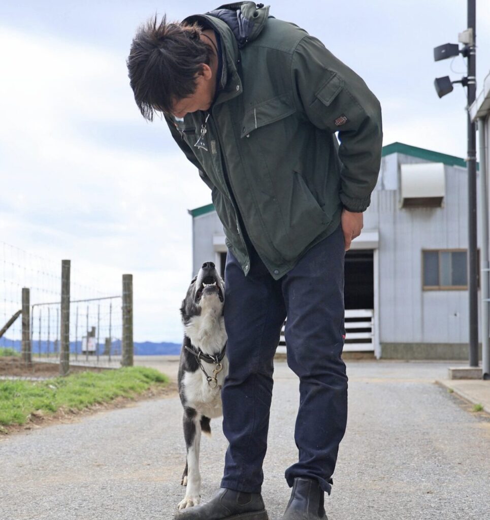 マザー牧場　羊飼い