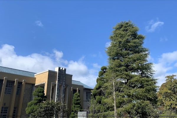 新田高等学校