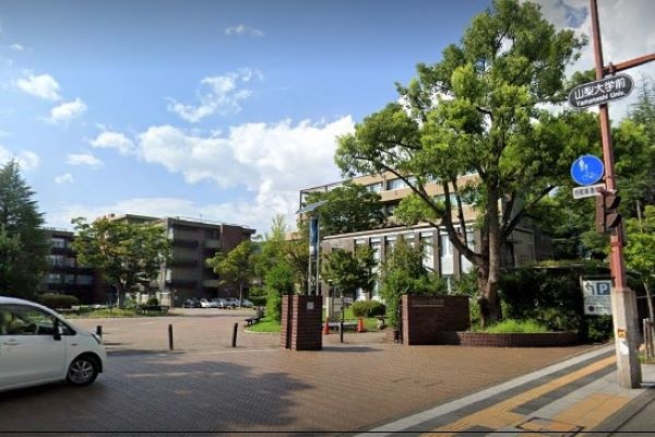 山梨大学